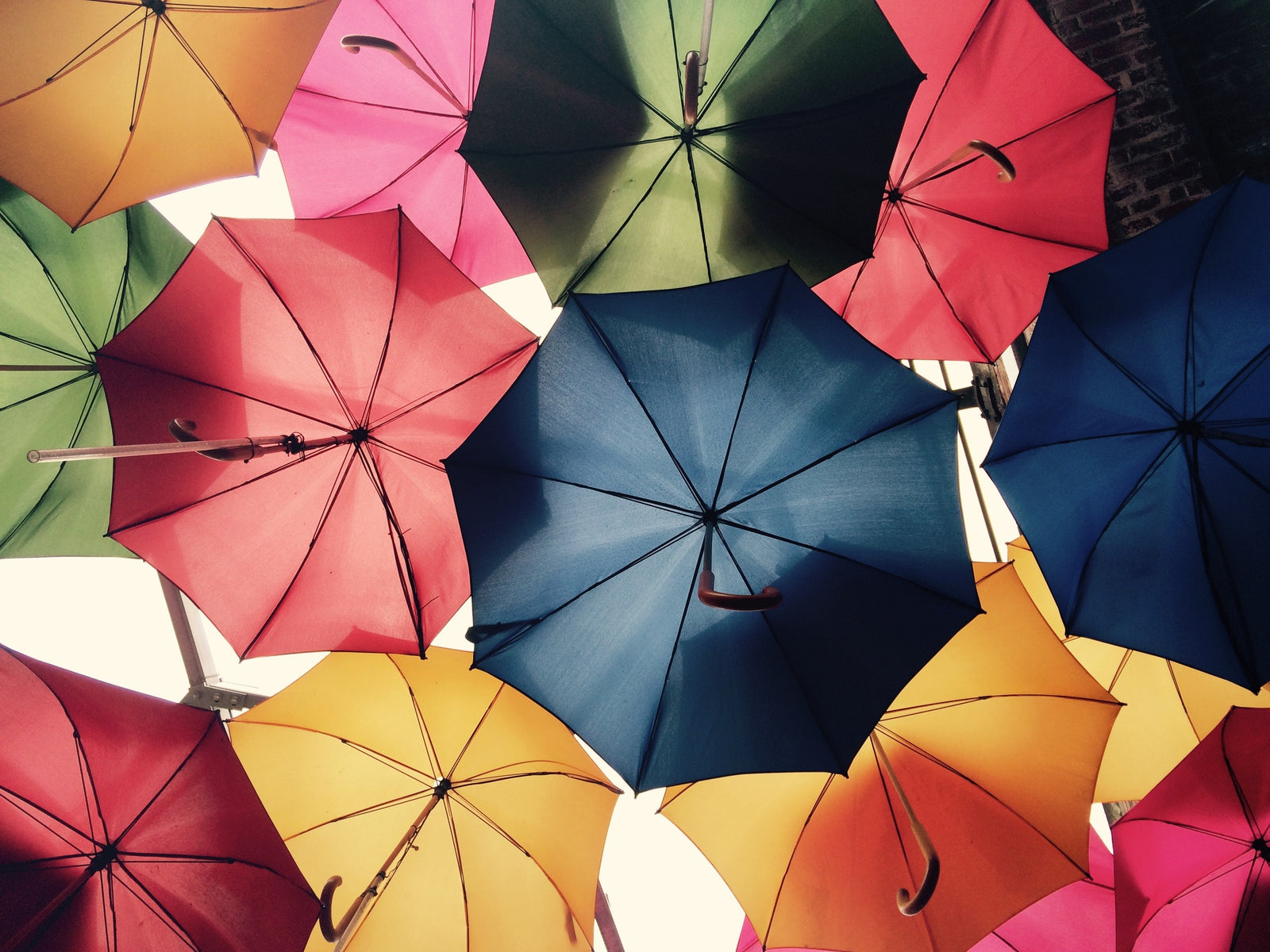 The Role Of Liability Insurance In Asset Protection Planning